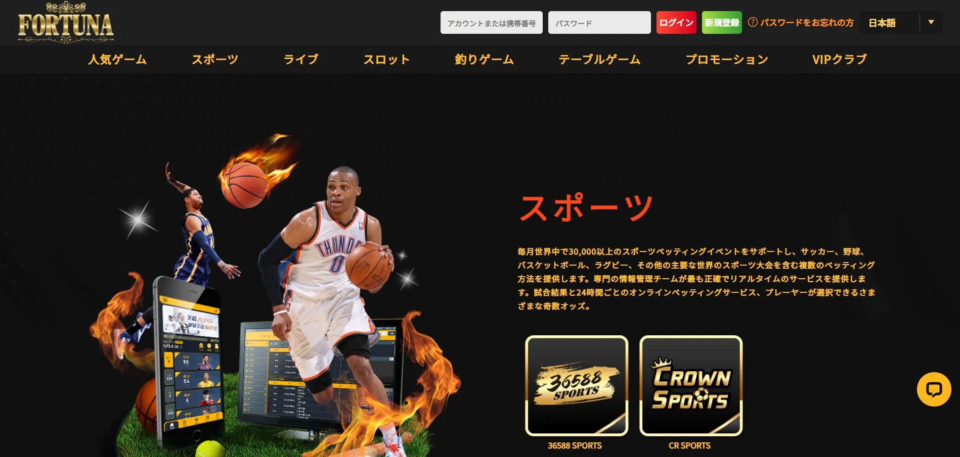 プロモーション一覧